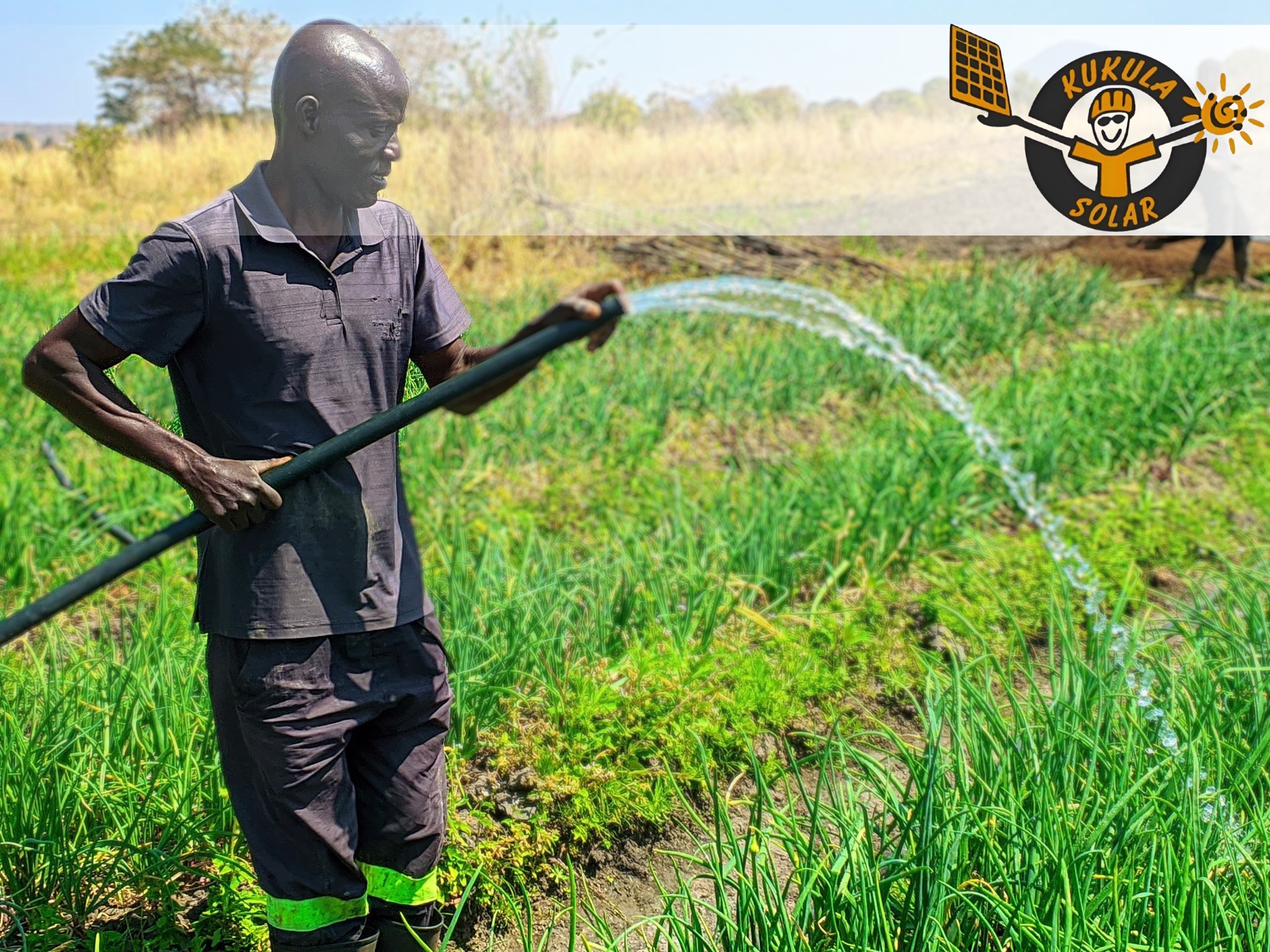 A farmer irrigating a lush vegetable field on a sunny day. featuring the Logo for Kukula Solar