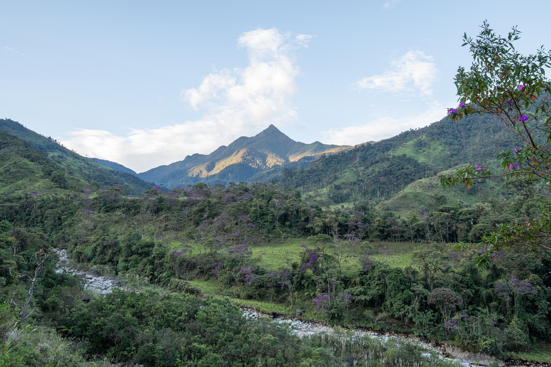 Collage of the Podocarpus-El Cóndor Corridor conservation project.